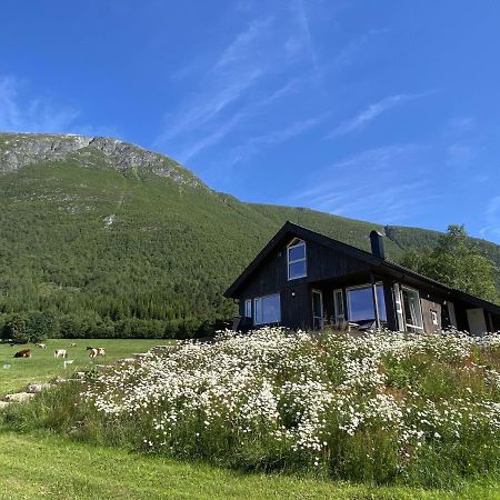 Heinali Hytta Villa Isfjorden Dış mekan fotoğraf