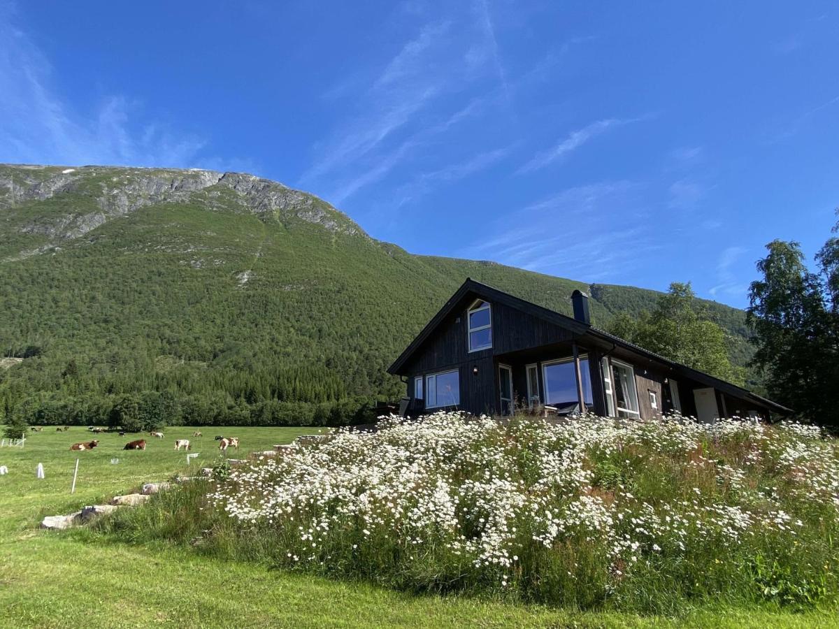 Heinali Hytta Villa Isfjorden Dış mekan fotoğraf